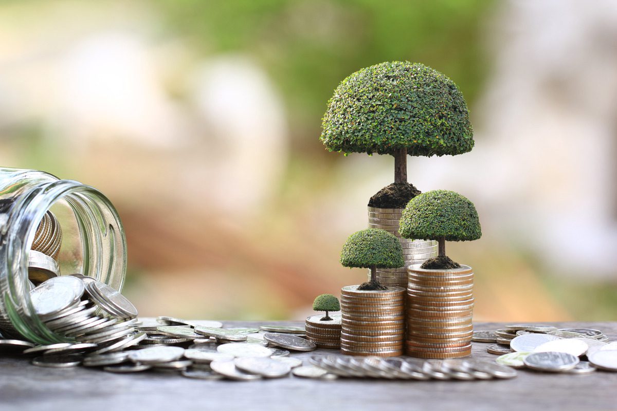 Coins stacked with small trees and jar
